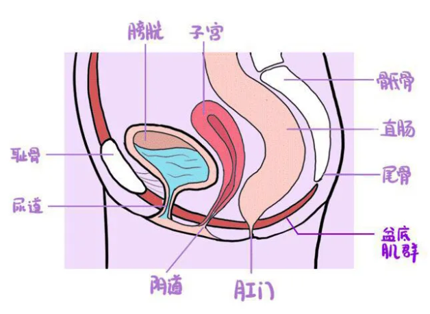 大连百佳妇产医院