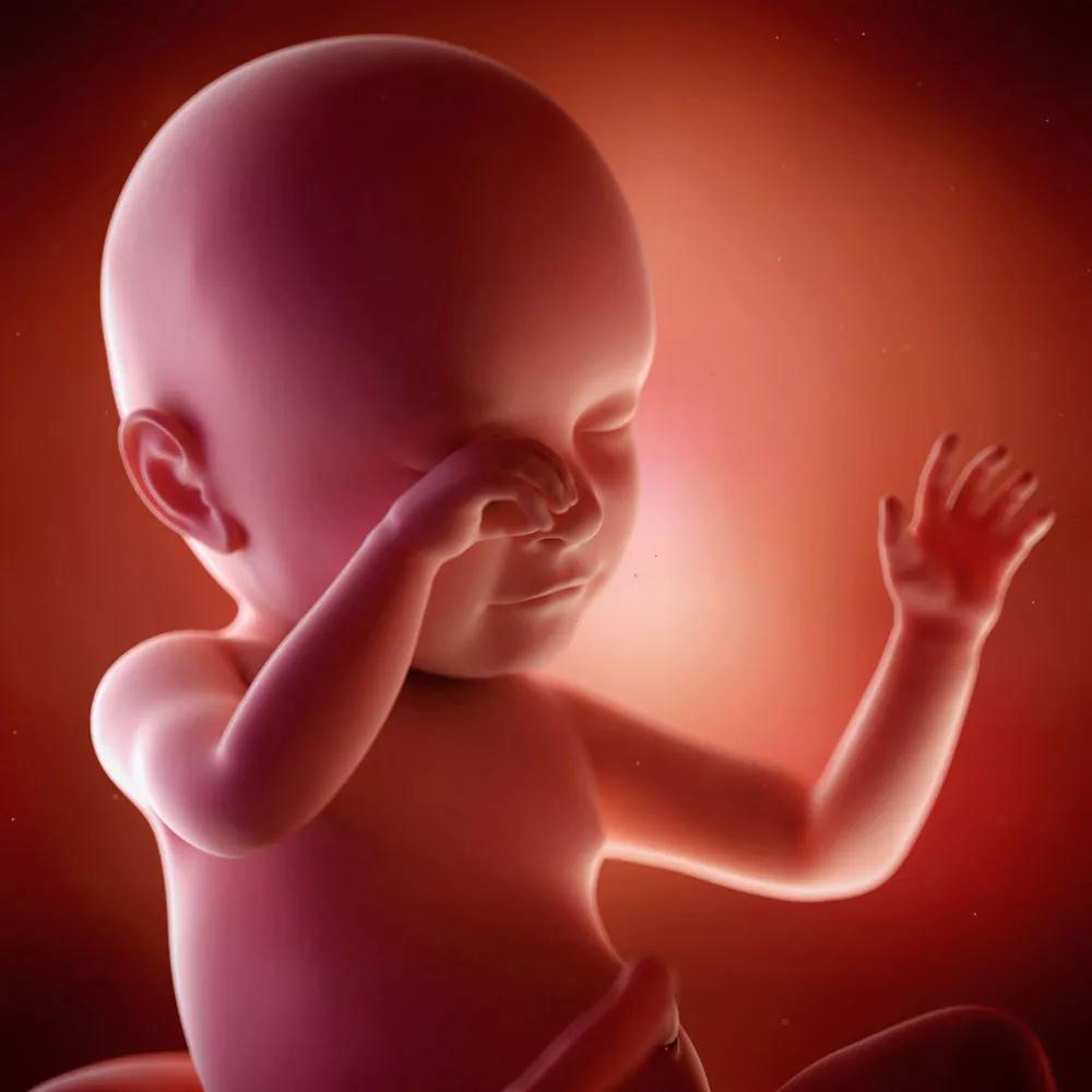 孕晚期做B超，3个数据告诉你能否顺产
